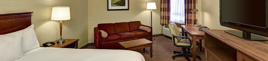 Hotel Room with Queen bed.